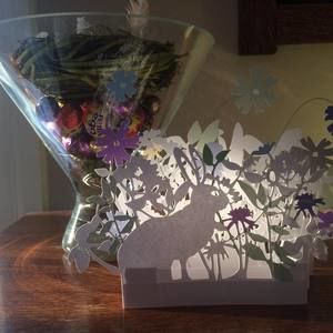 Meet your Posher, Anne